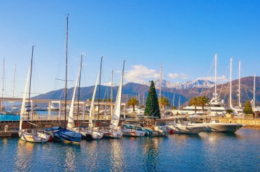Tivat / Karadağ - 11 Ocak 2019: Güneşli kış gününde Tivat kentindeki Porto Montenegro Marina manzarası. Karadağ, Adriyatik Denizi