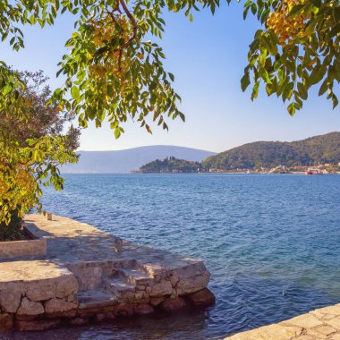 Güneşli bir sonbahar gününde güzel Akdeniz manzarası. Karadağ, Adriyatik Denizi. Verige Boğazı yakınlarındaki Kotor Körfezi kıyısında. Melia azedarach ağacının dalları
