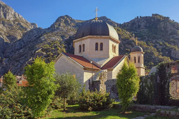 Arquitectura Religiosa Montenegro Ciudad Vieja Kotor Antigua Iglesia Ortodoxa San — Foto de Stock