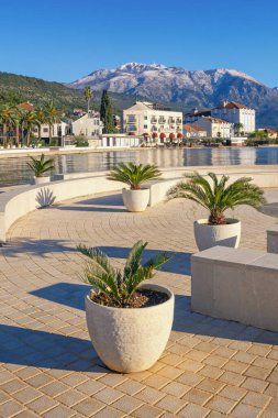 Güneşli Akdeniz manzarası. Karadağ, Adriyatik Denizi, Kotor Körfezi. Tivat şehrinin setin manzarası. Uzakta Lovcen dağının karla kaplı zirveleri