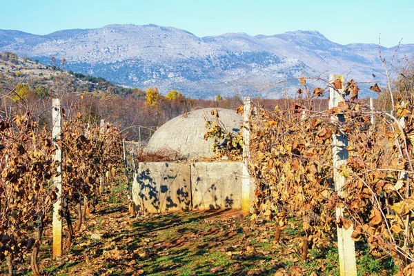 Albanië Geschiedenis Oude Betonnen Bunker Wijngaard Zonnige Herfstdag Nabij Shkoder — Stockfoto