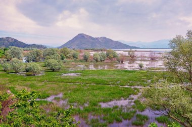 Sulak arazi. Karadağ. Bulutlu bahar gününde Skadar Gölü Ulusal Parkı manzarası