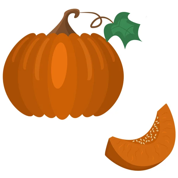 大きなカボチャとそれの一片 種でオレンジのひょうたんをスライスしました 野菜ベクトルイラスト ハロウィンと感謝祭のバナーの秋の収穫デザイン — ストックベクタ