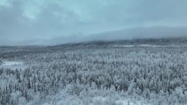 Bir helikopterle karlı yol çatışması