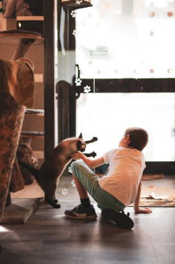 Genç bir çocuk, kedi dışarı çıkmak isterken siyam kedisiyle oynuyor.