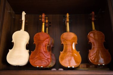 Luthier 'in atölyesinde kemanlar asılı.