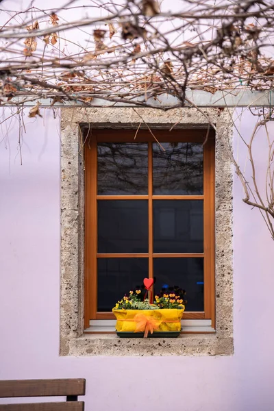 Сільське Вікно Квітковим Горщиком Підвіконні — стокове фото
