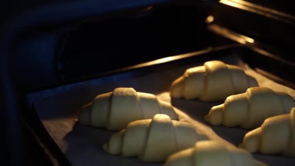 Ugnen Sätta Bakplåt Med Sex Croissanter Till Matlagning — Stockvideo