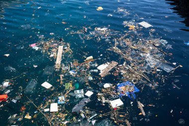 Kirlilik, deniz suyundaki atıklar. Plastik ve deniz yüzeyindeki çeşitli atıklar