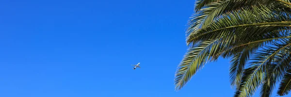 Cielo Azul Con Avión Palmera Banner — Foto de Stock