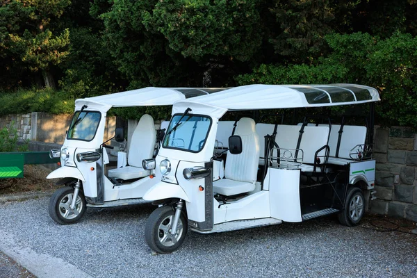 electric cars for tourist transport