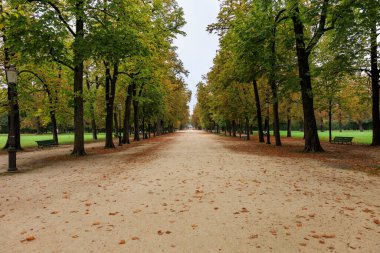 Parma, İtalya _ 04 Ekim 2022 Parma Ducal Park bulvarı. Halk bahçesi