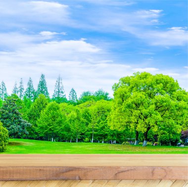 Büyük sarımsı yeşil ağaçları olan doğa arkaplanı ve bulutlu mavi gökyüzü. Kare arkaplanda ürün gösterimi için tahta tablo.