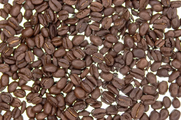 Fondo chicchi di caffè torrefatto. chicchi di caffè su sfondo chiaro — Foto Stock
