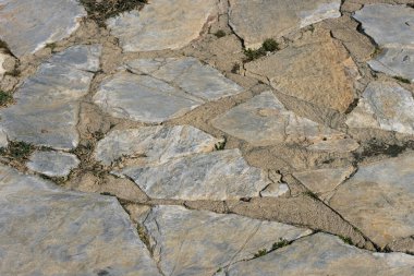 Bahçedeki patika çeşitli şekillerde taşlardan elle yapılmış. Yaklaş.