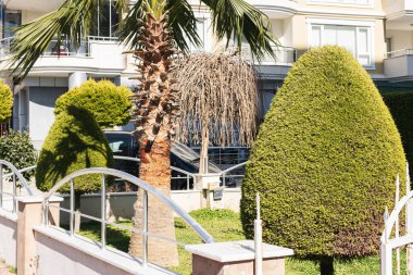 Güzel park, budanmış çalılar, bitki örtüsü, çimen, ağaç.