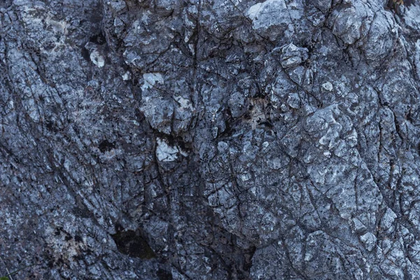 Beton duvar arkaplanı, tavan arası tarzı kopyalama alanı