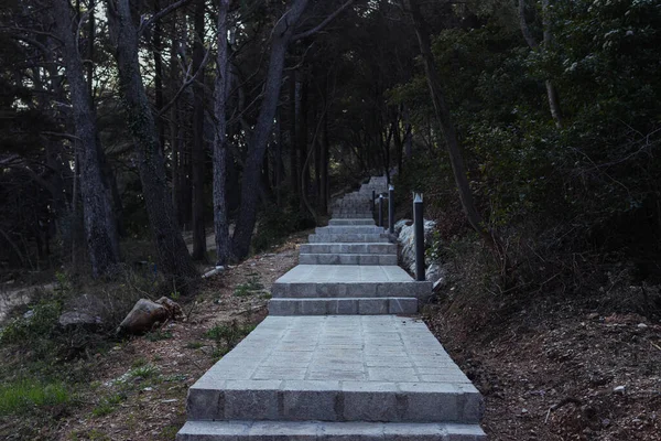 Steps up the mountain in the park around the green trees — Fotografia de Stock