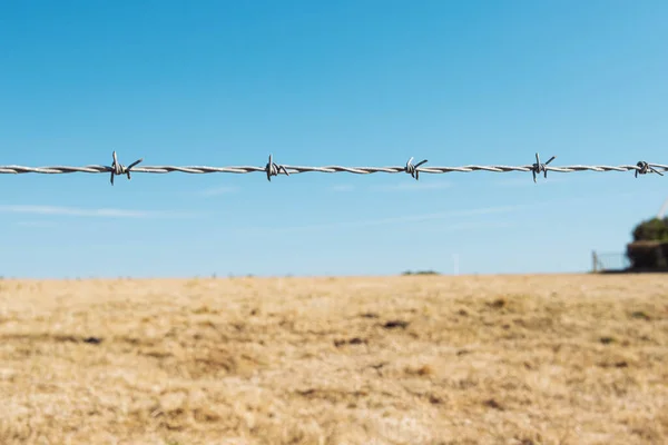 Barbed Wire Blue Sky Dry Grass Beautiful Landscape Has Place — стоковое фото