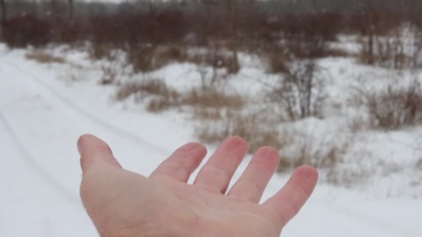 Male Hand Close Snow Snowflakes Fly Hand Slow Motion High — Vídeos de Stock