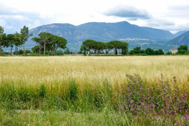 Turkuaz körfez, kumlu sahil, yeşil dağlar ve bitkiler, mavi gökyüzü, beyaz bulutlar arka plan, Capo Vaticano kaya platformu, Calabria, güney İtalya.