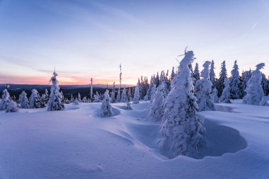 Almanya ve Çek Cumhuriyeti, Bavyera Ormanı - Sumava Ulusal Parkı, Almanya - Çek Cumhuriyeti sınırında karla birlikte kışın Dreisesselberg. Yüksek kalite fotoğraf