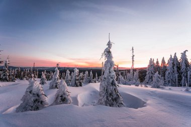 Almanya ve Çek Cumhuriyeti, Bavyera Ormanı - Sumava Ulusal Parkı, Almanya - Çek Cumhuriyeti sınırında karla birlikte kışın Dreisesselberg. Yüksek kalite fotoğraf
