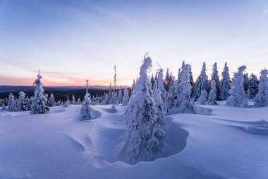 Almanya ve Çek Cumhuriyeti, Bavyera Ormanı - Sumava Ulusal Parkı, Almanya - Çek Cumhuriyeti sınırında karla birlikte kışın Dreisesselberg. Yüksek kalite fotoğraf