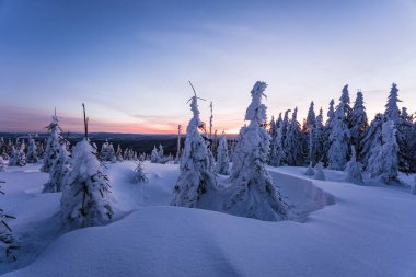 Almanya ve Çek Cumhuriyeti, Bavyera Ormanı - Sumava Ulusal Parkı, Almanya - Çek Cumhuriyeti sınırında karla birlikte kışın Dreisesselberg. Yüksek kalite fotoğraf