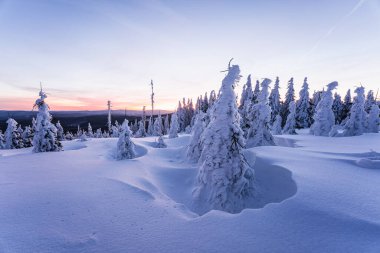 Almanya ve Çek Cumhuriyeti, Bavyera Ormanı - Sumava Ulusal Parkı, Almanya - Çek Cumhuriyeti sınırında karla birlikte kışın Dreisesselberg. Yüksek kalite fotoğraf