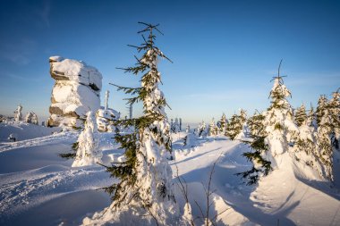 Almanya ve Çek Cumhuriyeti, Bavyera Ormanı - Sumava Ulusal Parkı, Almanya - Çek Cumhuriyeti sınırında karla birlikte kışın Dreisesselberg. Yüksek kalite fotoğraf