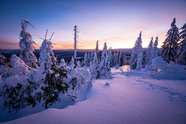 Almanya ve Çek Cumhuriyeti, Bavyera Ormanı - Sumava Ulusal Parkı, Almanya - Çek Cumhuriyeti sınırında karla birlikte kışın Dreisesselberg. Yüksek kalite fotoğraf