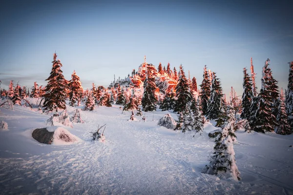 Almanya ve Çek Cumhuriyeti, Bavyera Ormanı - Sumava Ulusal Parkı, Almanya - Çek Cumhuriyeti sınırında karla birlikte kışın Dreisesselberg. Yüksek kalite fotoğraf