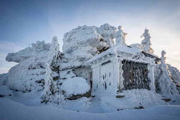 ドイツとチェコの国境に雪が降る冬のドリーゼセルベルク バイエルンの森 スマヴァ国立公園 ドイツ チェコ共和国 高品質の写真 — ストック写真