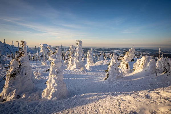 Almanya ve Çek Cumhuriyeti, Bavyera Ormanı - Sumava Ulusal Parkı, Almanya - Çek Cumhuriyeti sınırında karla birlikte kışın Dreisesselberg. Yüksek kalite fotoğraf