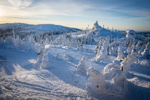 Almanya ve Çek Cumhuriyeti, Bavyera Ormanı - Sumava Ulusal Parkı, Almanya - Çek Cumhuriyeti sınırında karla birlikte kışın Dreisesselberg. Yüksek kalite fotoğraf