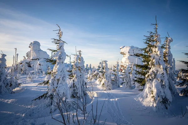 Almanya ve Çek Cumhuriyeti, Bavyera Ormanı - Sumava Ulusal Parkı, Almanya - Çek Cumhuriyeti sınırında karla birlikte kışın Dreisesselberg. Yüksek kalite fotoğraf