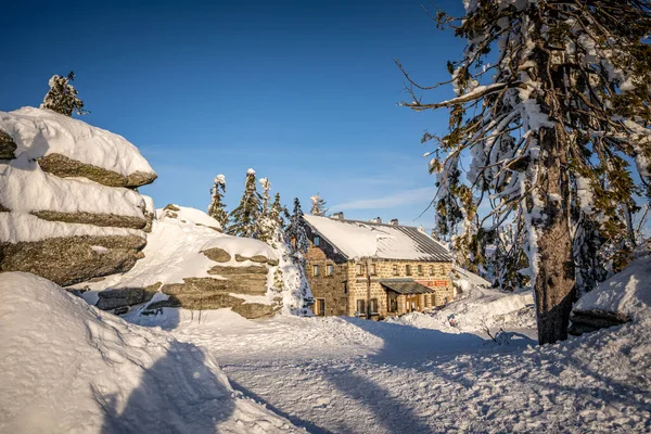 Dreisesselberg Zimą Śniegiem Granicy Niemcami Czechami Puszcza Bawarska Park Narodowy — Zdjęcie stockowe