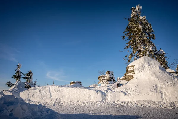 Almanya ve Çek Cumhuriyeti, Bavyera Ormanı - Sumava Ulusal Parkı, Almanya - Çek Cumhuriyeti sınırında karla birlikte kışın Dreisesselberg. Yüksek kalite fotoğraf