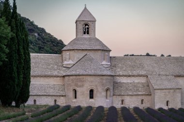 Senanque Abbey Gordes Provence Lavender fields Notre-Dame de Senanque, blooming purple-blue lavender fields Luberon France. Europe