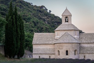 Senanque Abbey Gordes Provence Lavender fields Notre-Dame de Senanque, blooming purple-blue lavender fields Luberon France. Europe