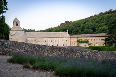 Senanque Abbey Gordes Provence Lavender fields Notre-Dame de Senanque, blooming purple-blue lavender fields Luberon France. Europe