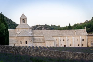 Senanque Abbey Gordes Provence Lavender fields Notre-Dame de Senanque, blooming purple-blue lavender fields Luberon France. Europe