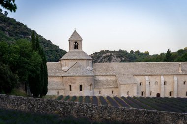 Senanque Abbey Gordes Provence Lavender fields Notre-Dame de Senanque, blooming purple-blue lavender fields Luberon France. Europe