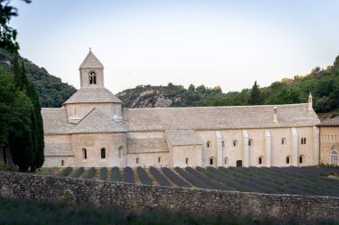 Senanque Abbey Gordes Provence Lavender fields Notre-Dame de Senanque, blooming purple-blue lavender fields Luberon France. Europe