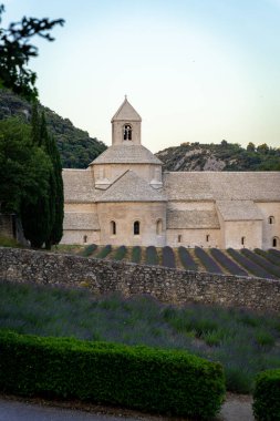 Senanque Abbey Gordes Provence Lavender fields Notre-Dame de Senanque, blooming purple-blue lavender fields Luberon France. Europe