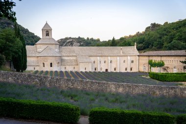 Senanque Abbey Gordes Provence Lavender fields Notre-Dame de Senanque, blooming purple-blue lavender fields Luberon France. Europe