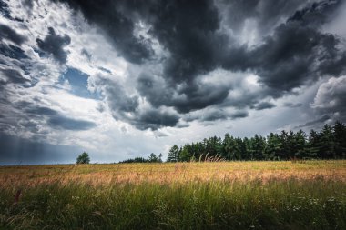 Yazın dağlı bir tarlanın üzerinde dramatik gök gürültüsü ve fırtına bulutları..