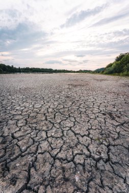 Drying up lake in Bavaria Germany from extreme weather and summer heatwave, climate change and drought