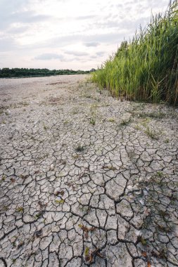 Drying up lake in Bavaria Germany from extreme weather and summer heatwave, climate change and drought